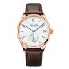 Đồng Hồ Nam Agelocer Luzern 1102D2